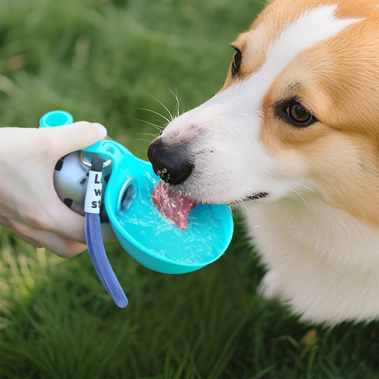 Stainless Steel Foldable Pet Water Bottle